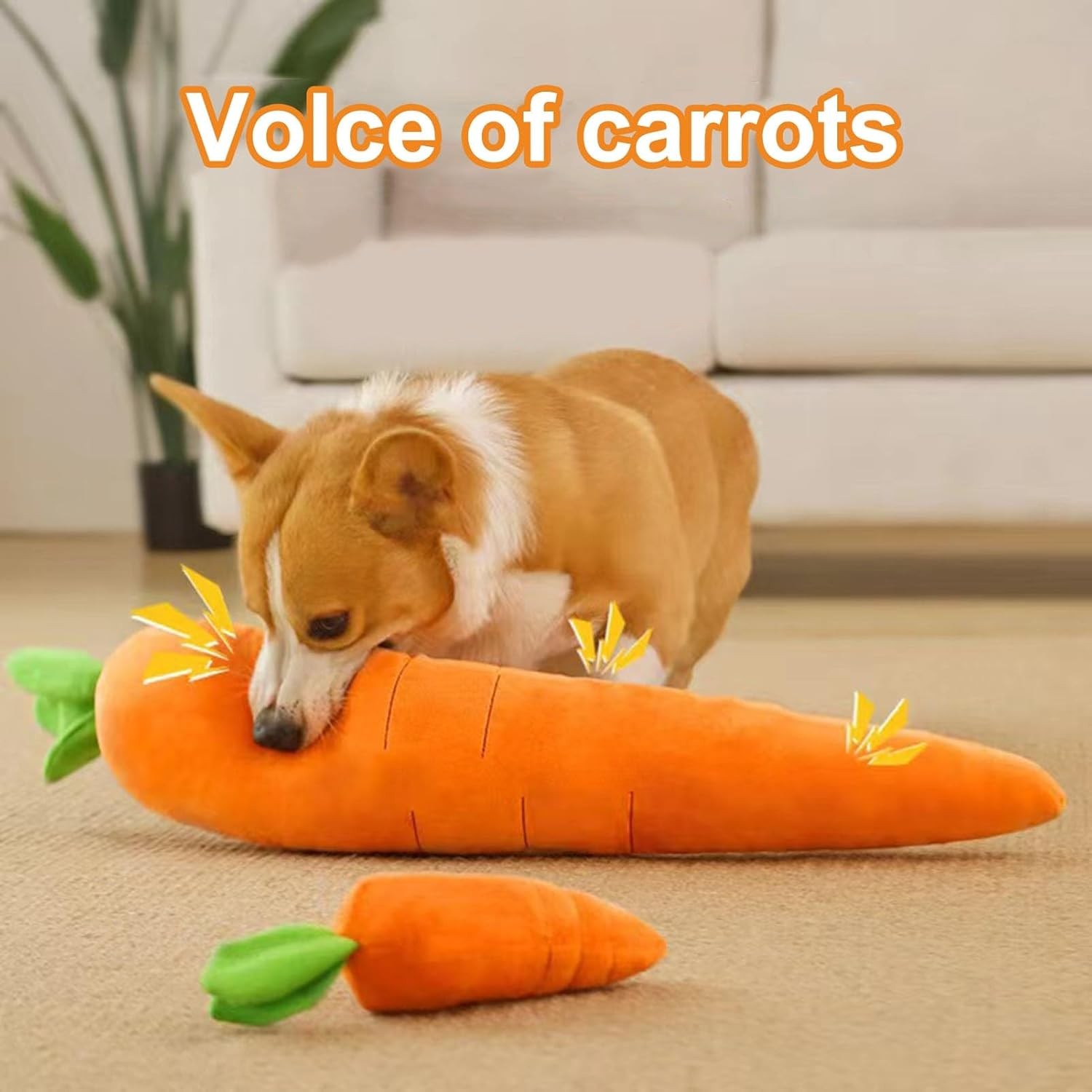 Dog Calming Carrot