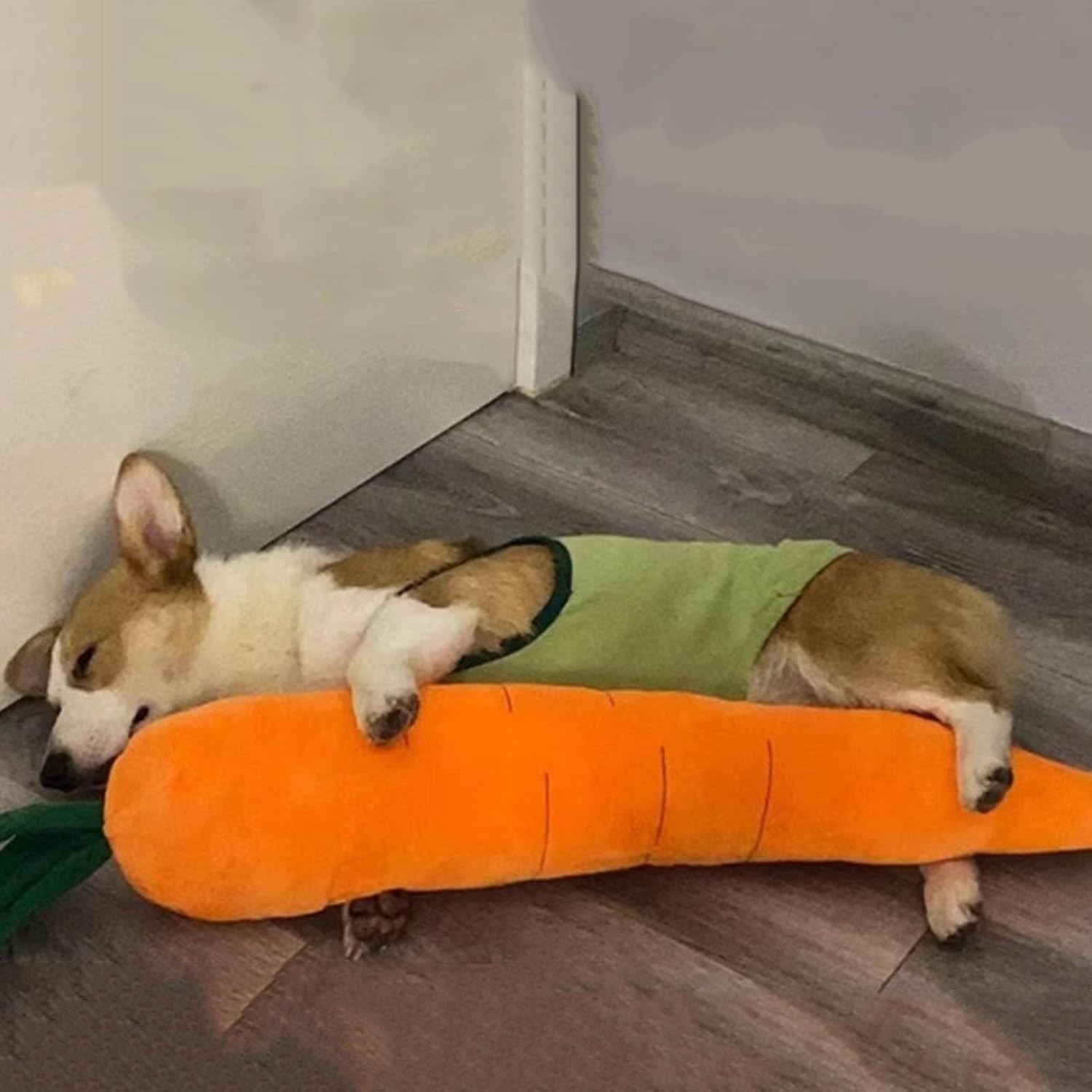 Dog Calming Carrot