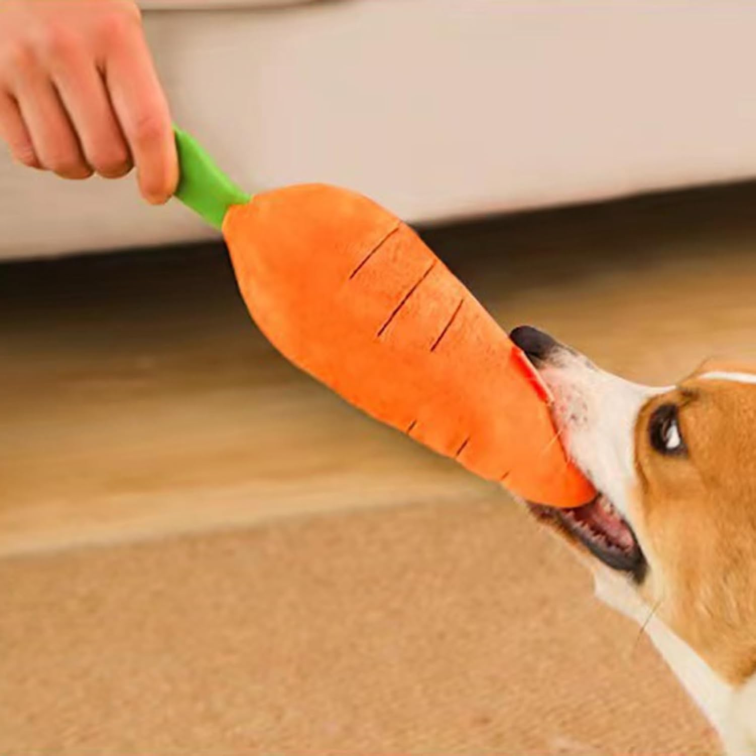 Dog Calming Carrot