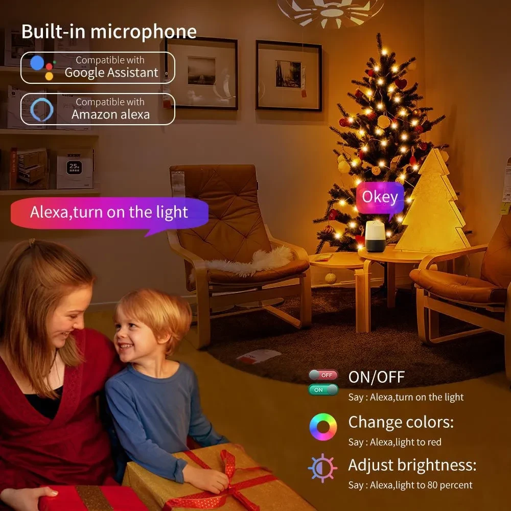 LED Festoon Fairy Lights