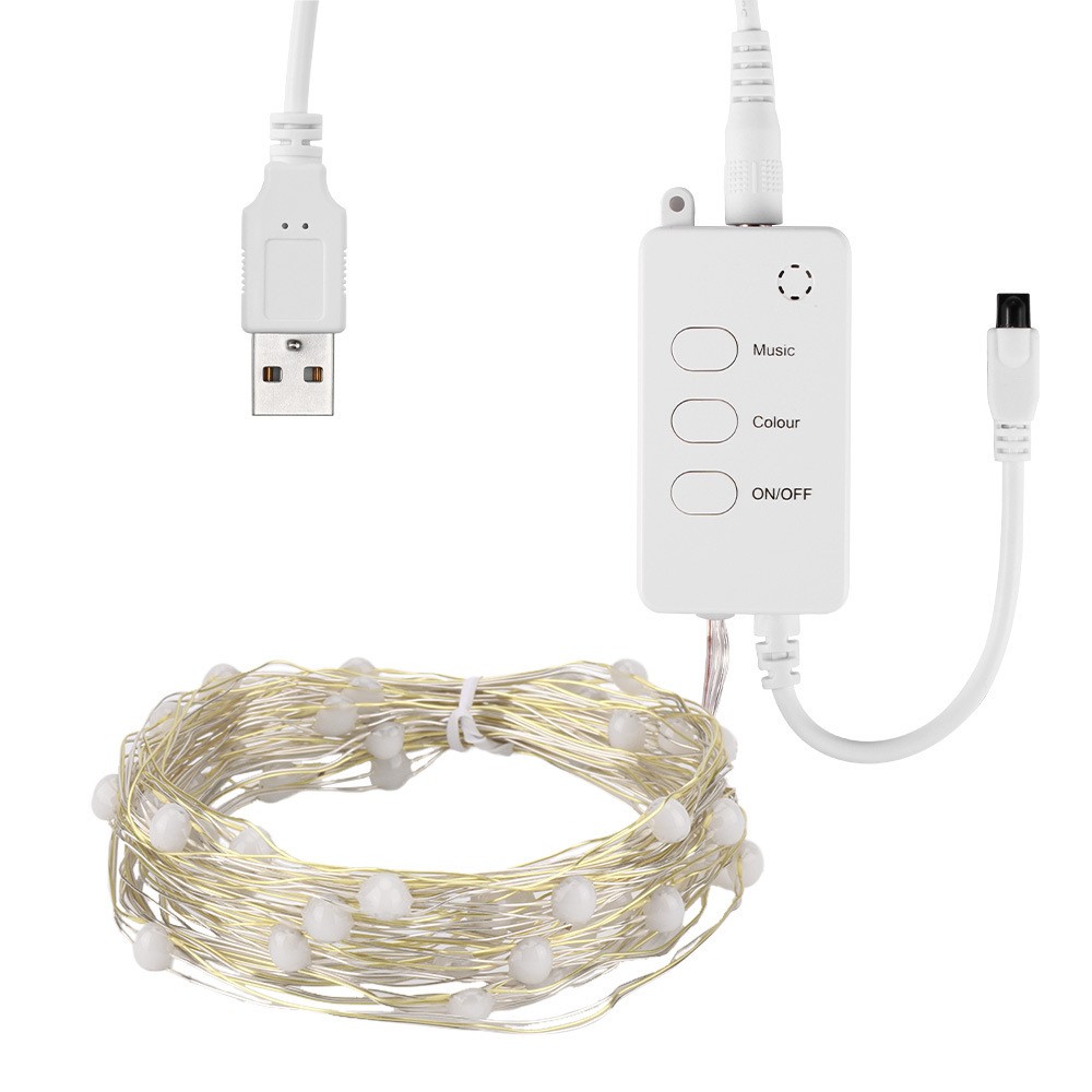 LED Festoon Fairy Lights