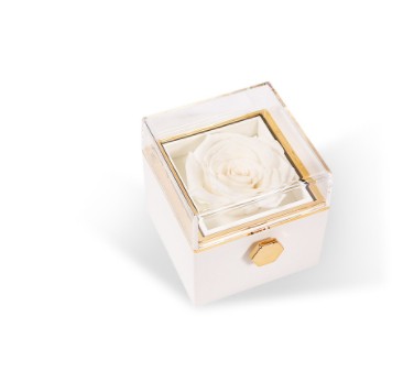🌹Eternal Real Rose Gift Box🎁