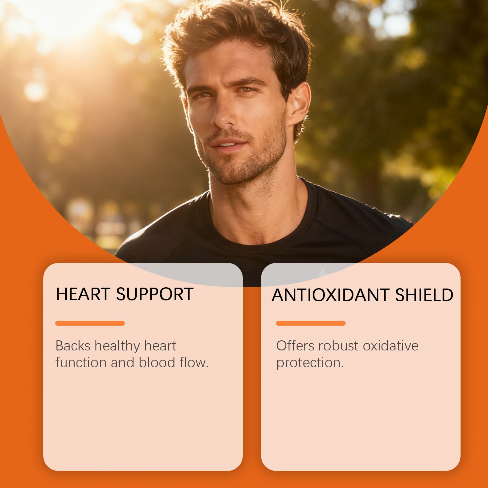 Docteat Circulatory System Supplement