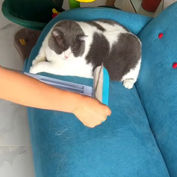 Multi-function Brusher Pet Hair Remover