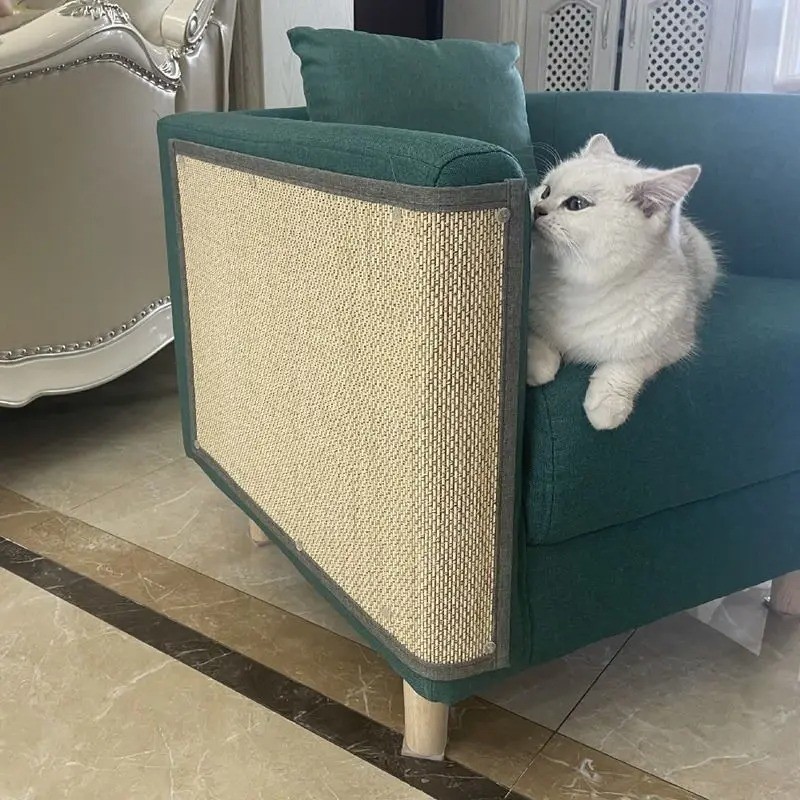 Carpet Cat Scratching