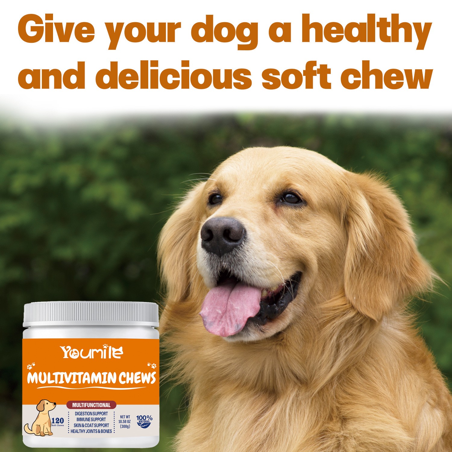 YourMite Multivitamin Chews – Healthy, Delicious Soft Chews for Dogs