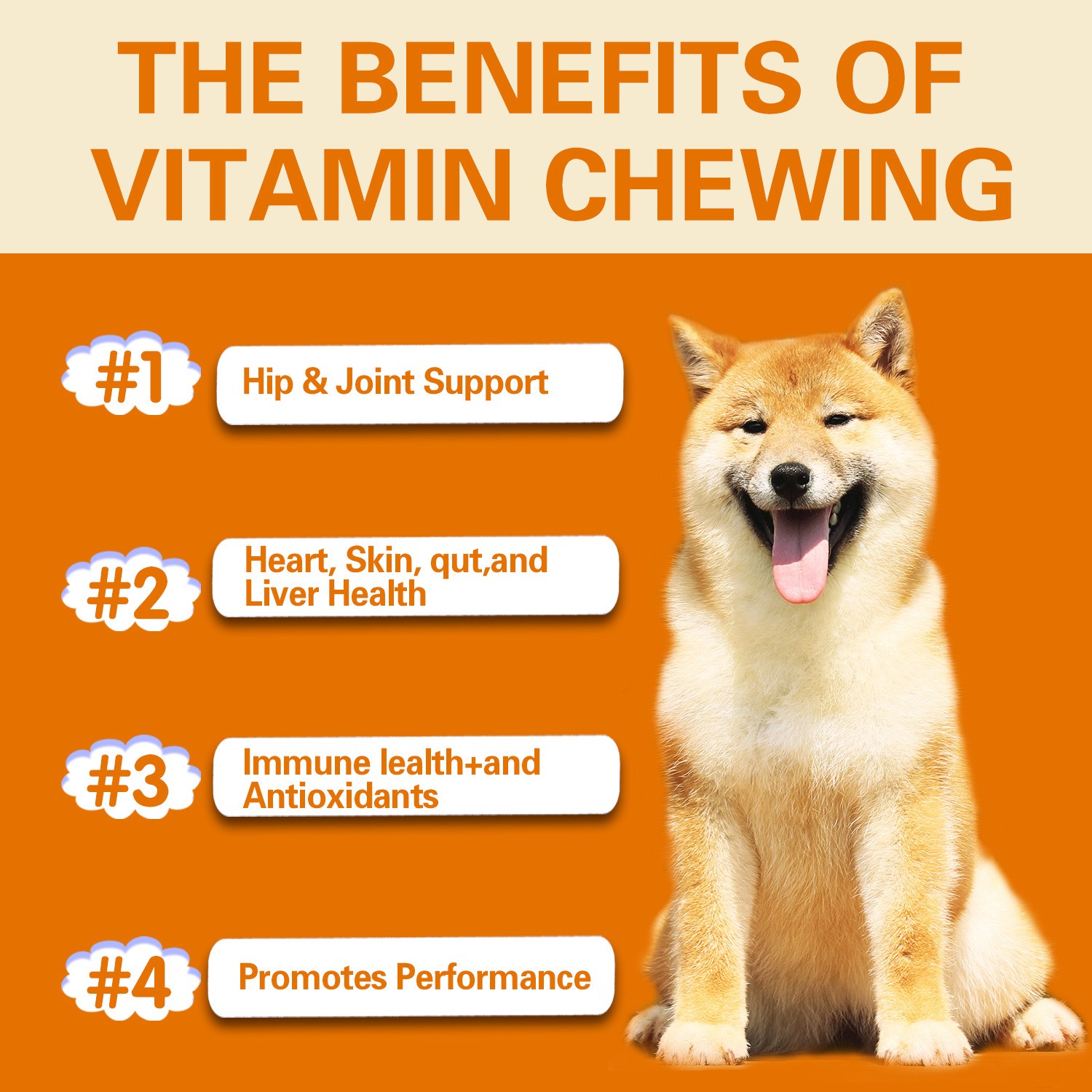 YourMite Multivitamin Chews – Healthy, Delicious Soft Chews for Dogs