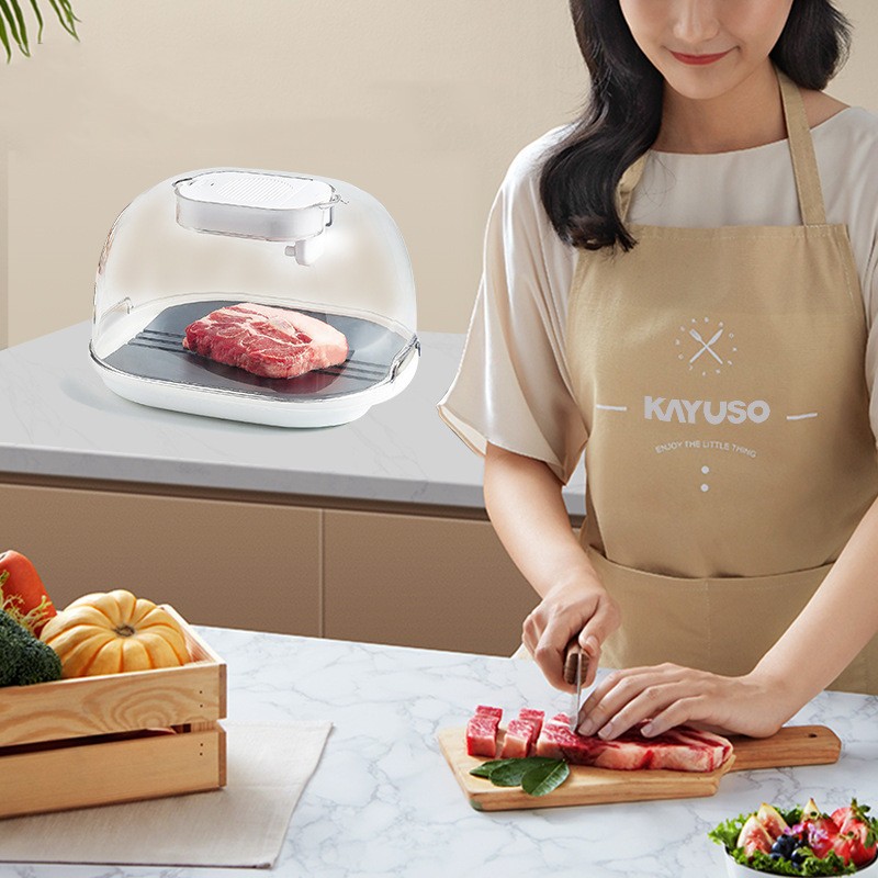 Food Preservation Defroster