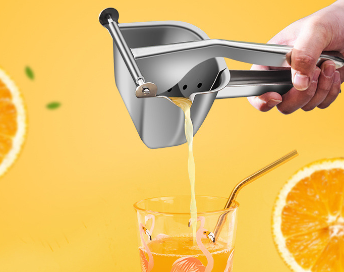 Stainless Steel Juicer
