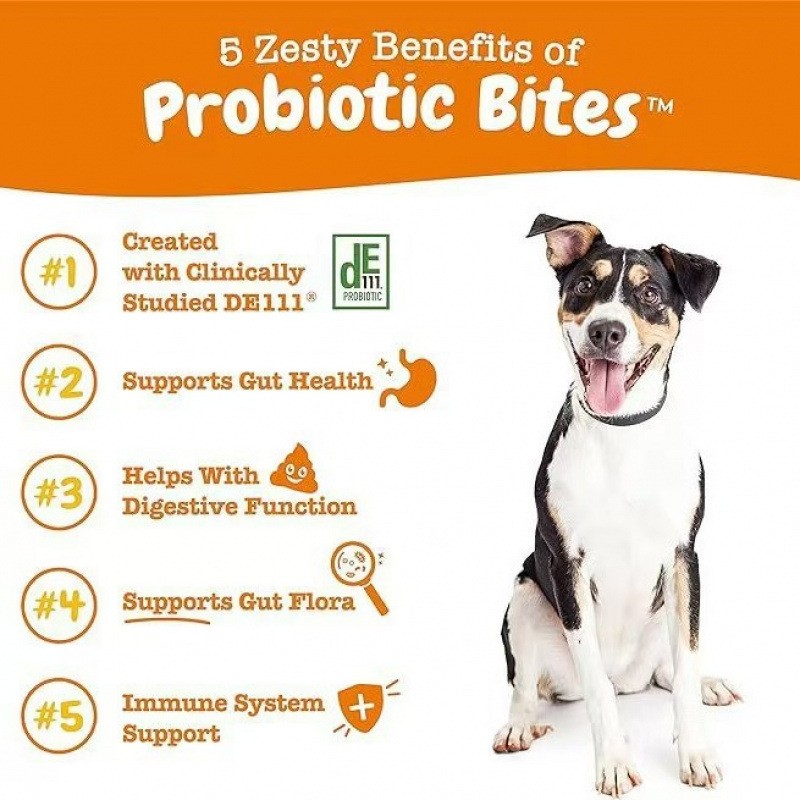 Probiotic Bites for Dogs – Daily Digestive & Gut Health Support
