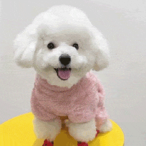 🐶Fleece Pet Elastic Jumpsuit with Pull Ring🐱