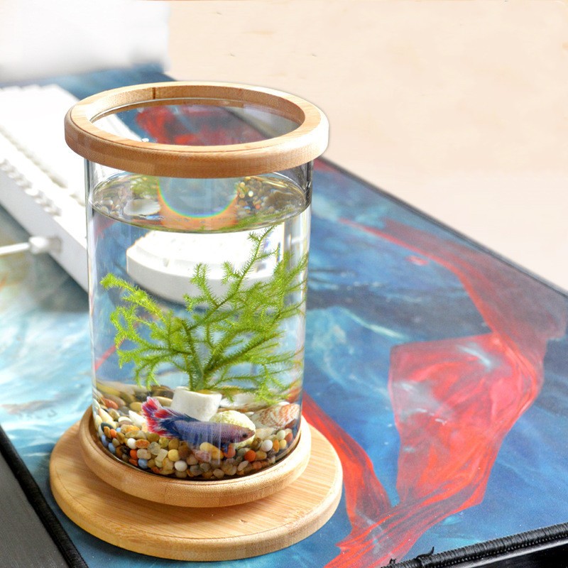 Small Glass Aquarium