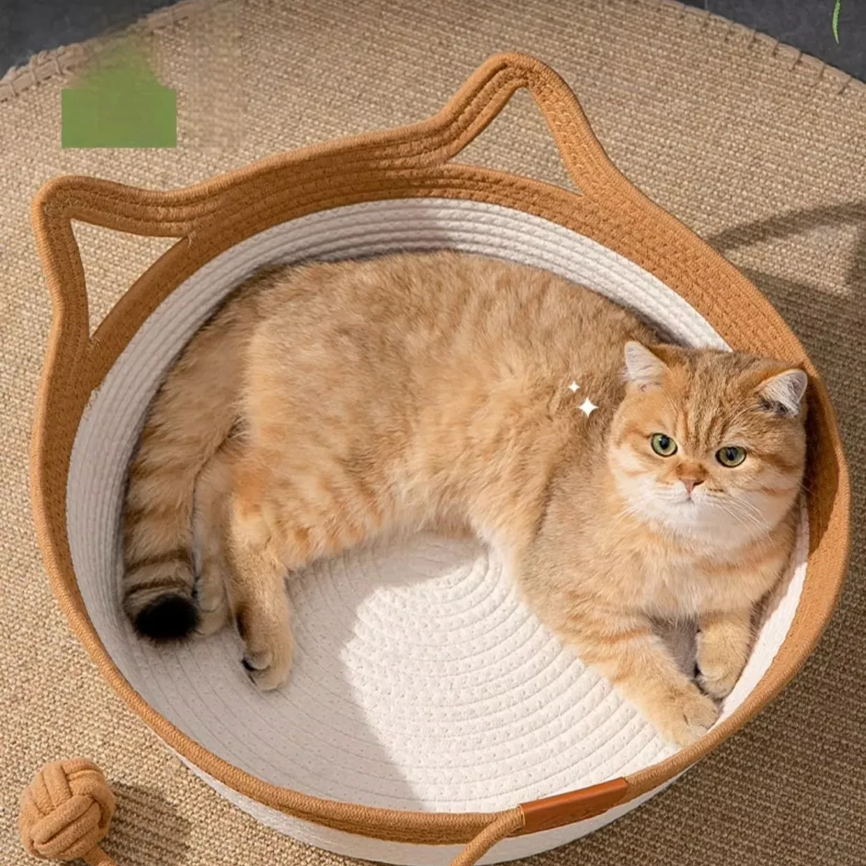 Instinct Basket | Meet The First Research-Backed Natural Territory for Indoor Cats