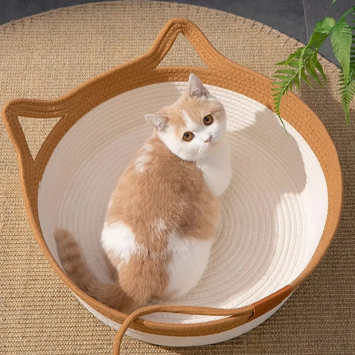Instinct Basket | Meet The First Research-Backed Natural Territory for Indoor Cats