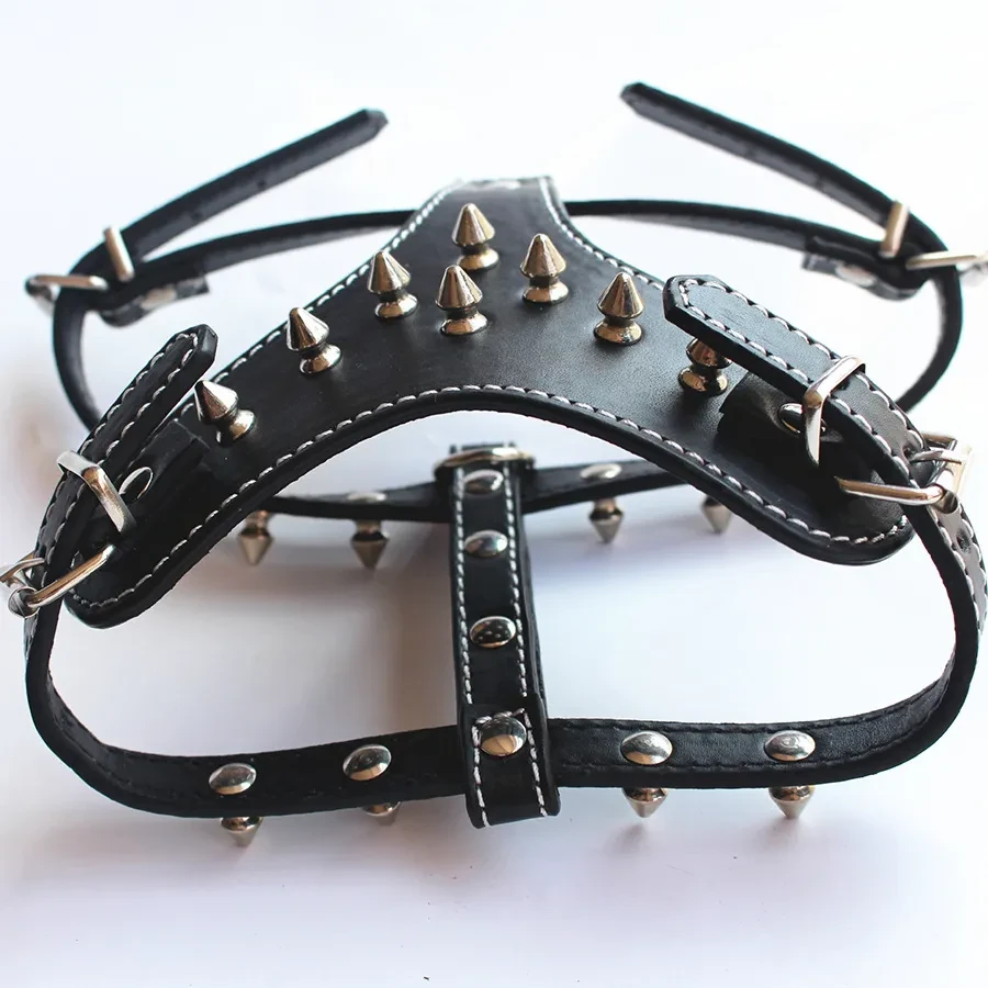 Spiked Dog Harness