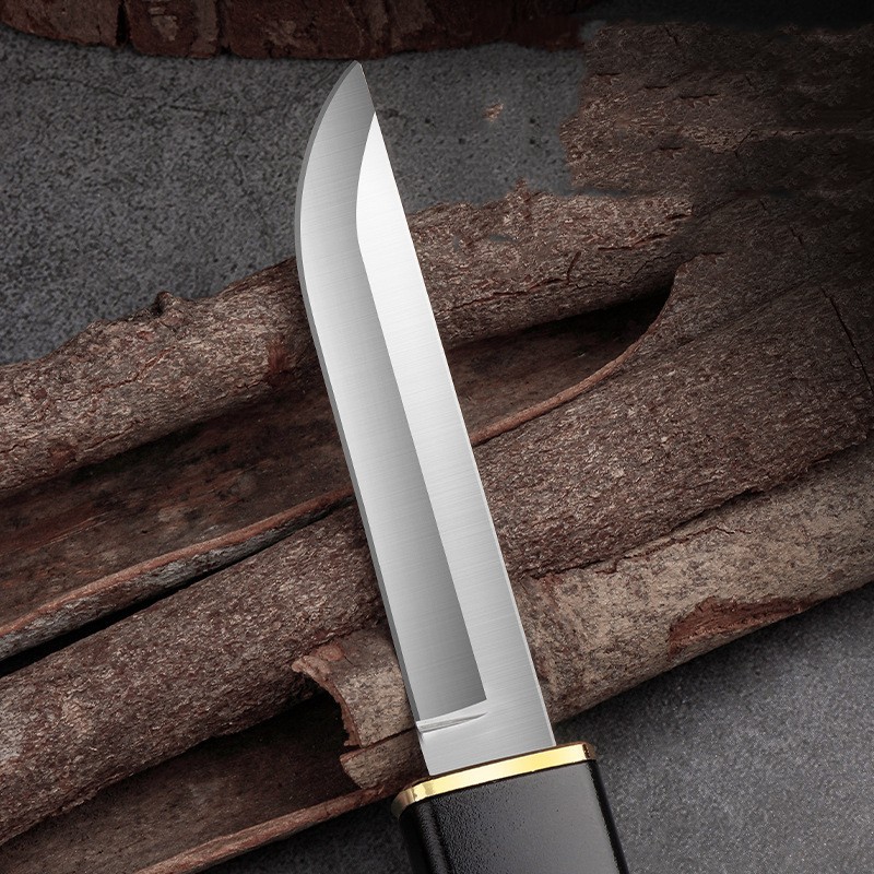 Stainless Steel Fruit Bone Remover