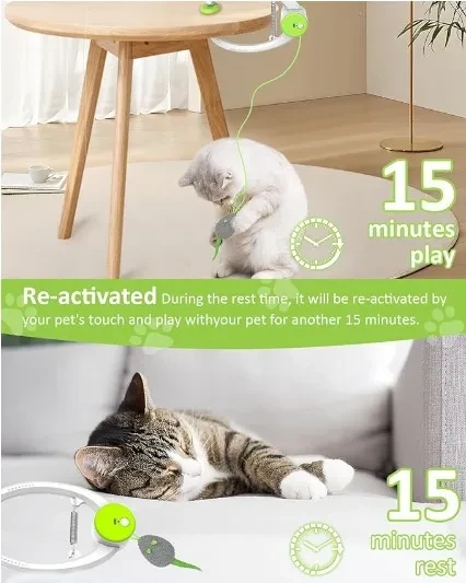 Indoor Interactive Cat Toy