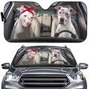 Personalized Car Sunshade