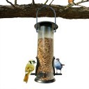 Bird Feeding