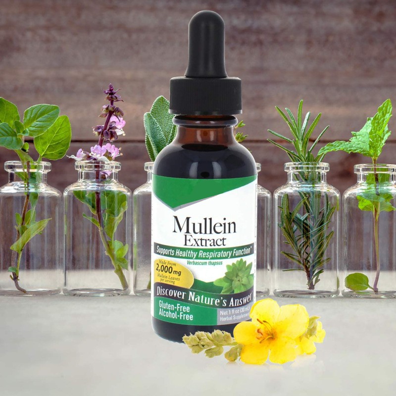 Mullein Extract Herbal Drops