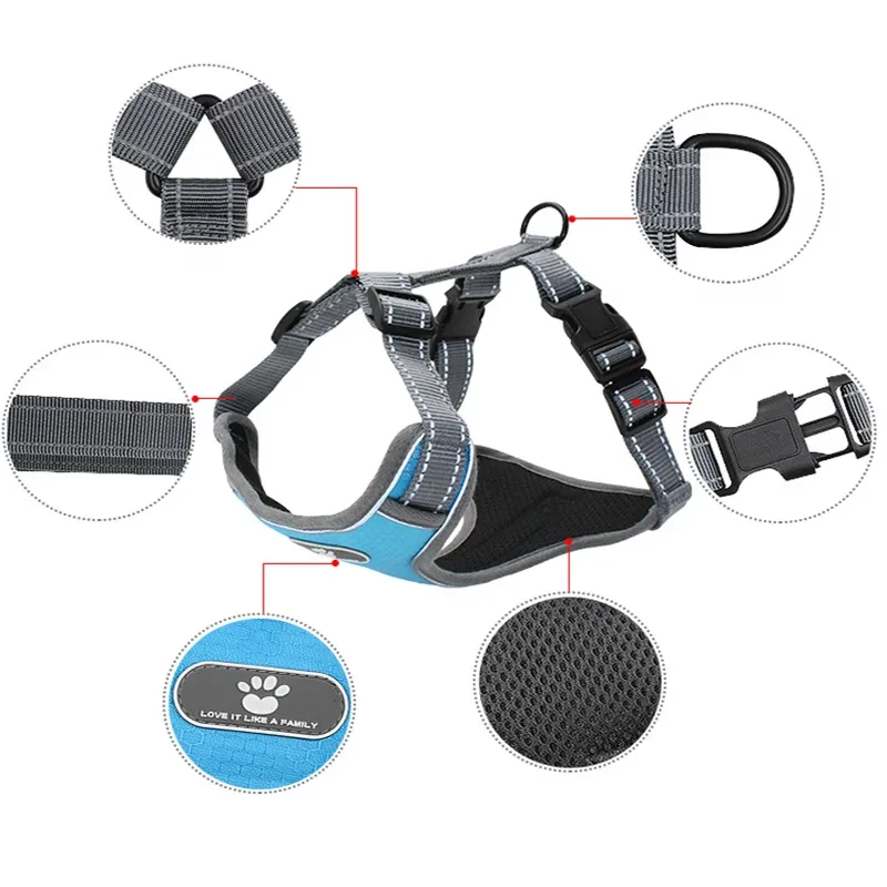 The FreeRun Leash™