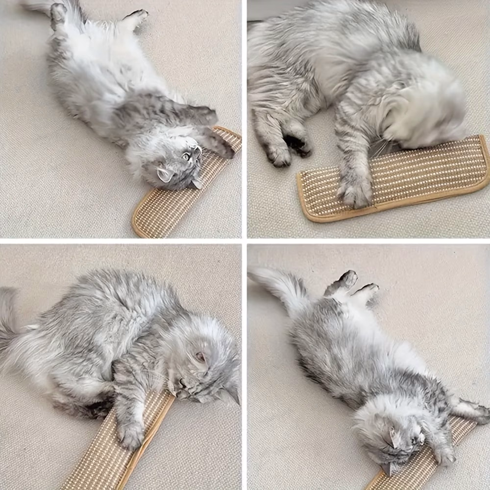 Cat Toy Game Pillow and Cat Scratching Pad