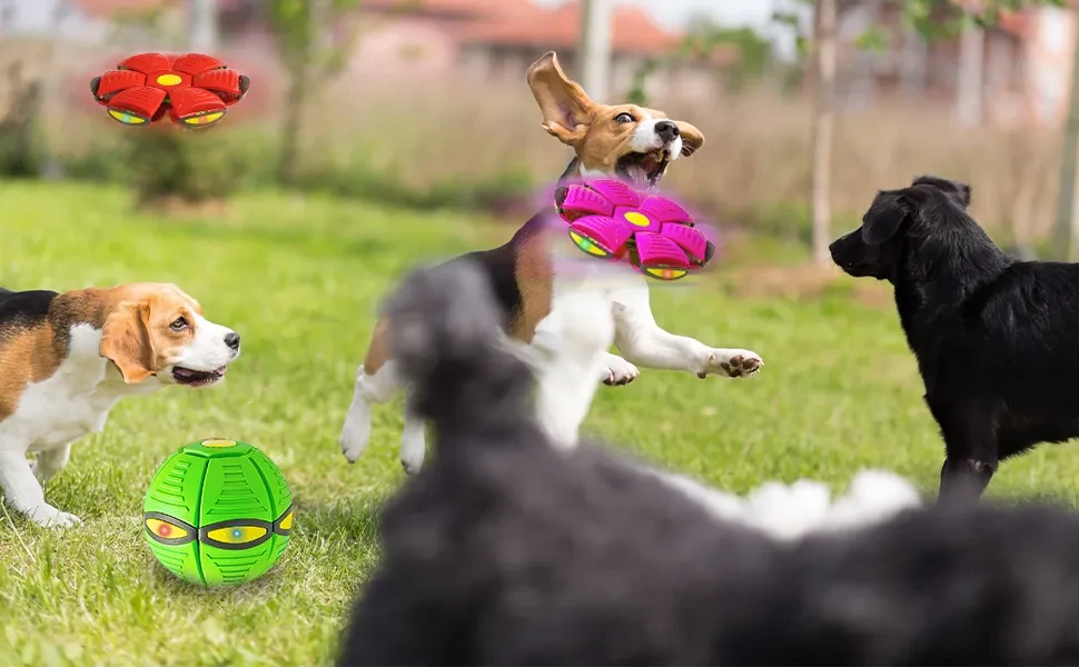 Flying Saucer Disc Dog Toy