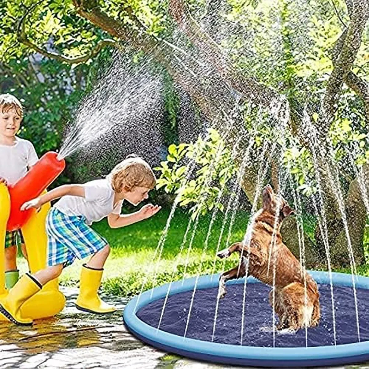 Splash Pad - Dogs & Kids