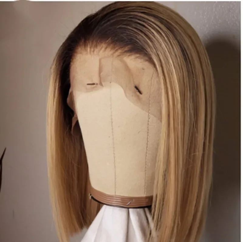 Front Lace Ombre Wig