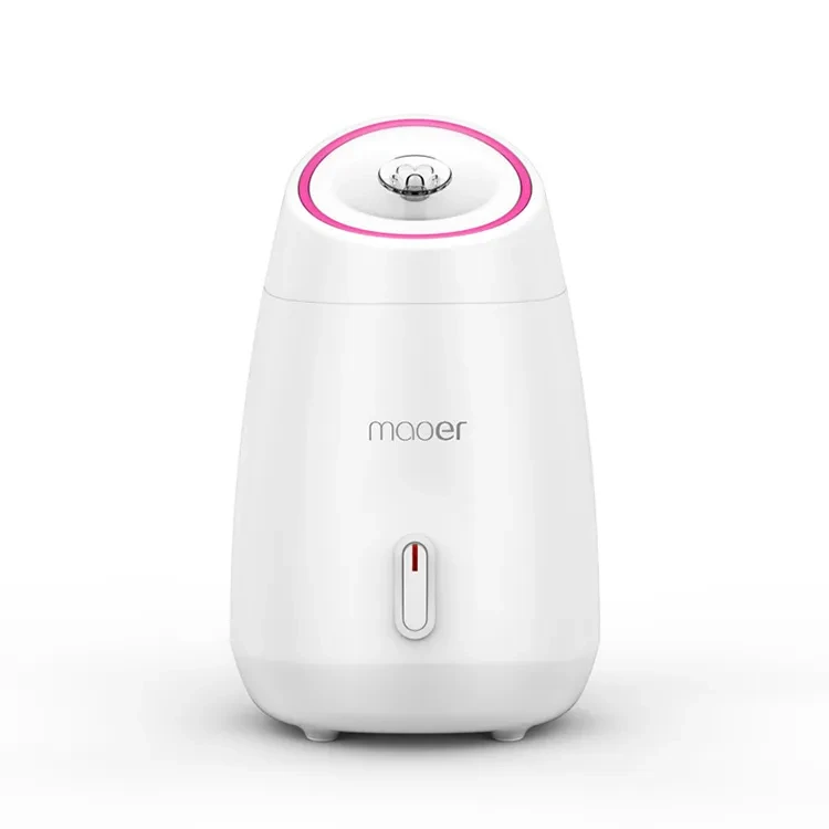 Fruit and Vegetable Face Steamer