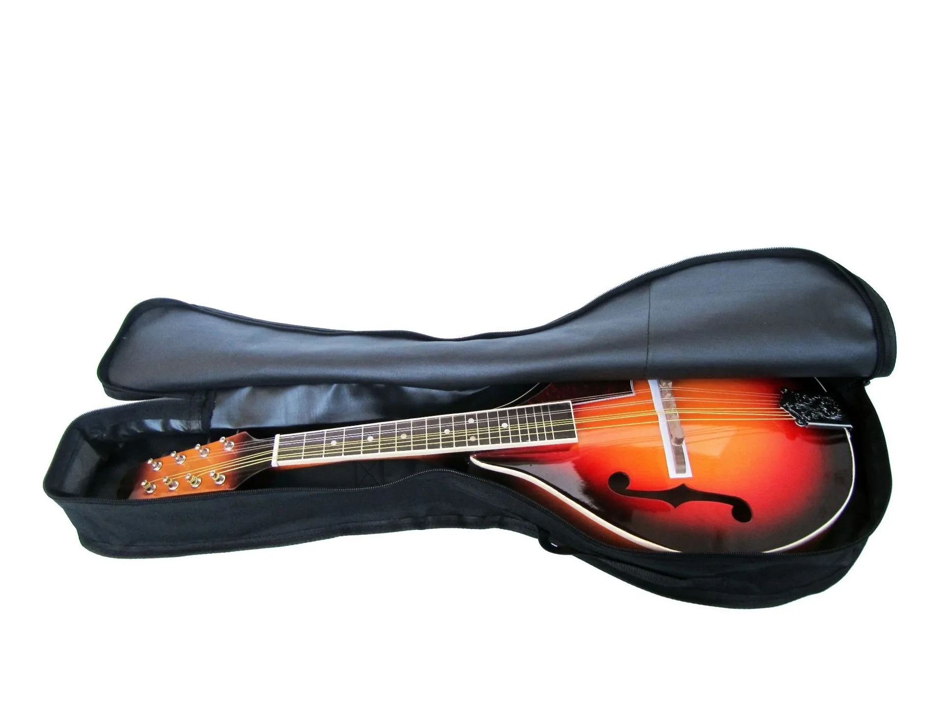 Mandolin Bag