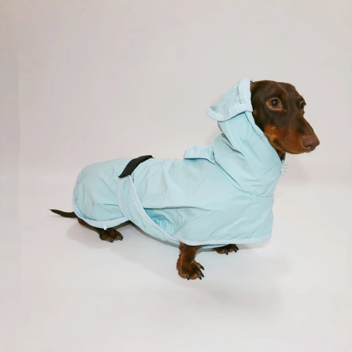 Dog Rain Coats NZ