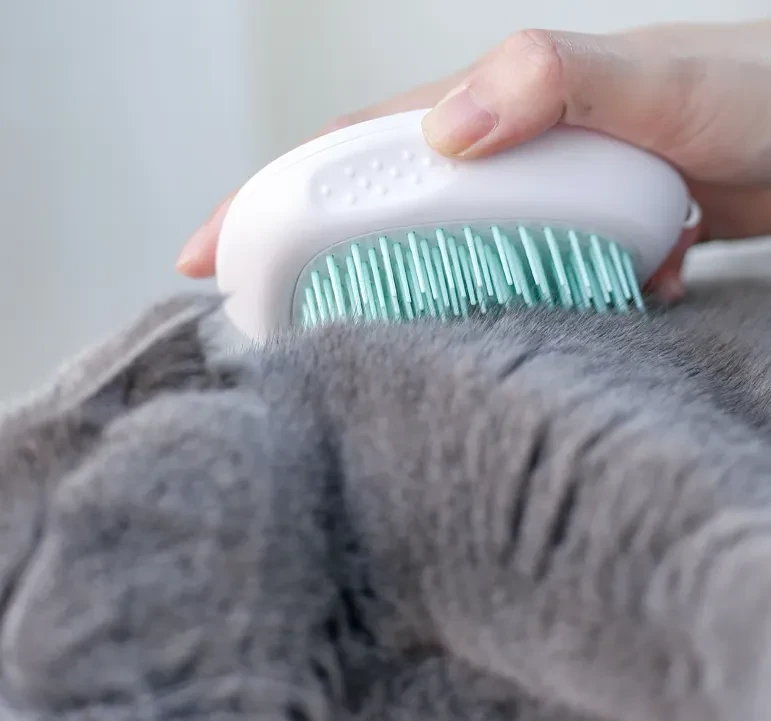Pet Brush