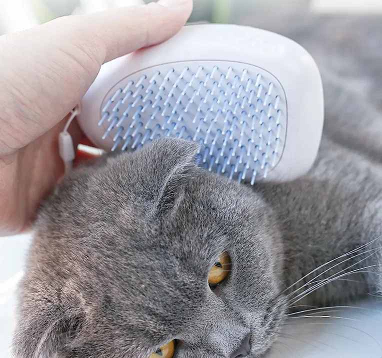 Pet Brush