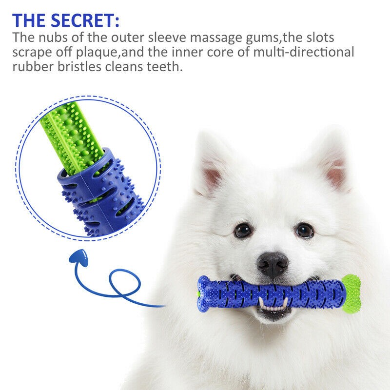 Dog Chew Toothbrush