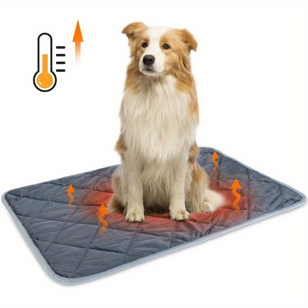 Pet Heating Pad NZ