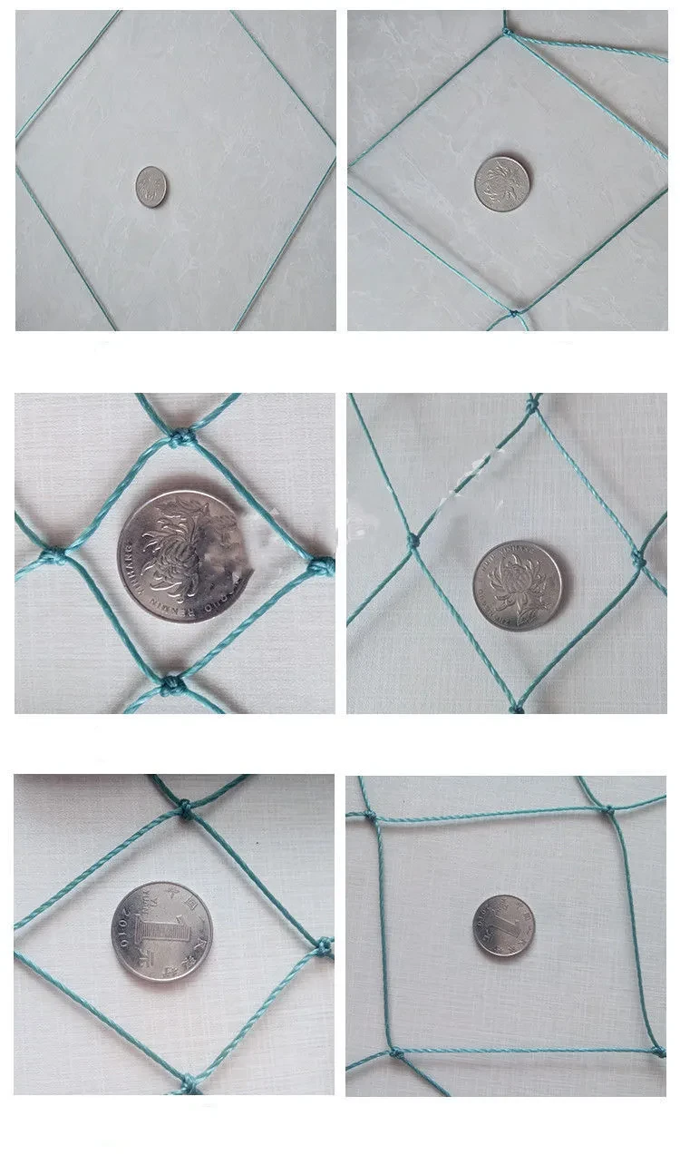 Chicken Netting Fence