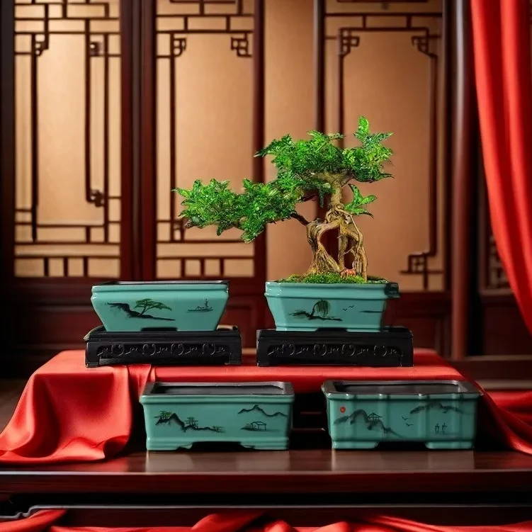 Bonsai Pots For Sale NZ