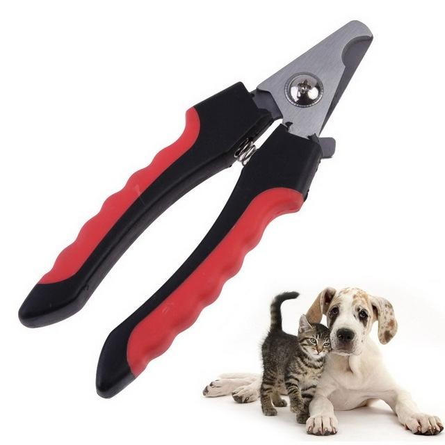 Dog Grooming Scissors NZ