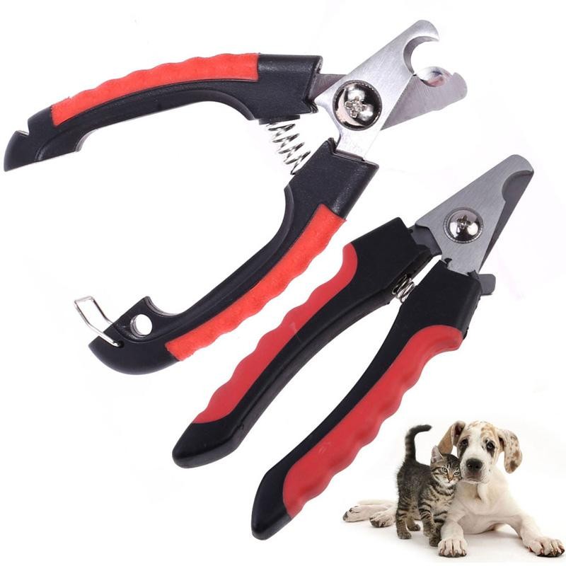 Dog Grooming Scissors NZ