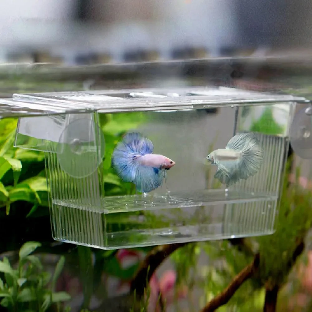 Fish Tank Incubation Box