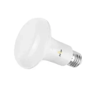 Daylight LED Light Bulb