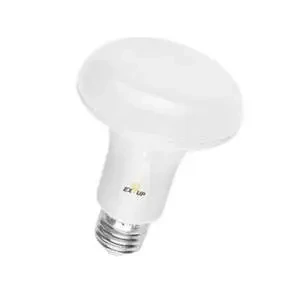 Daylight LED Light Bulb