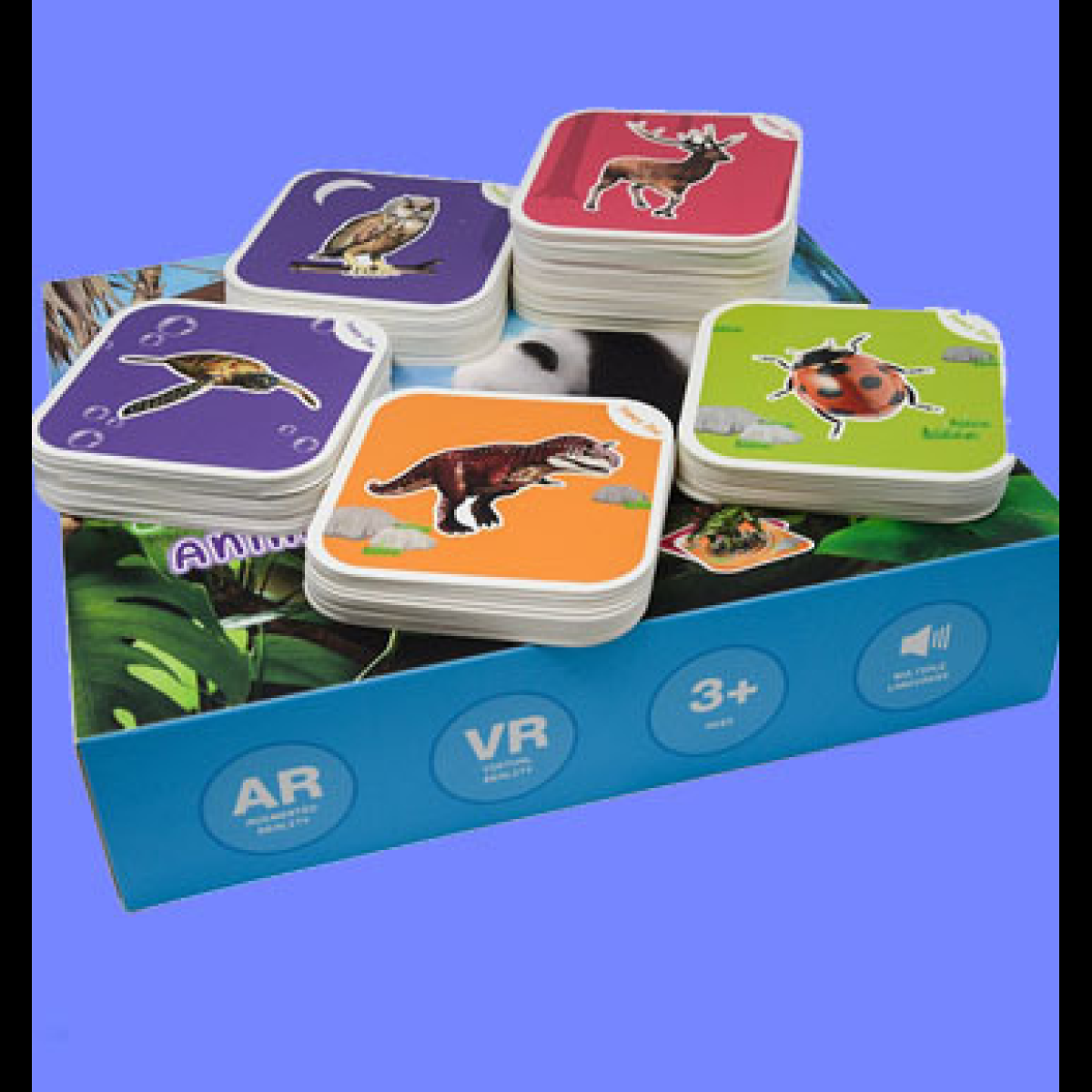 Flashcards For Toddlers NZ