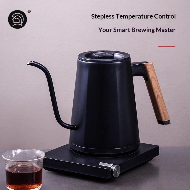 Electronic Kettle