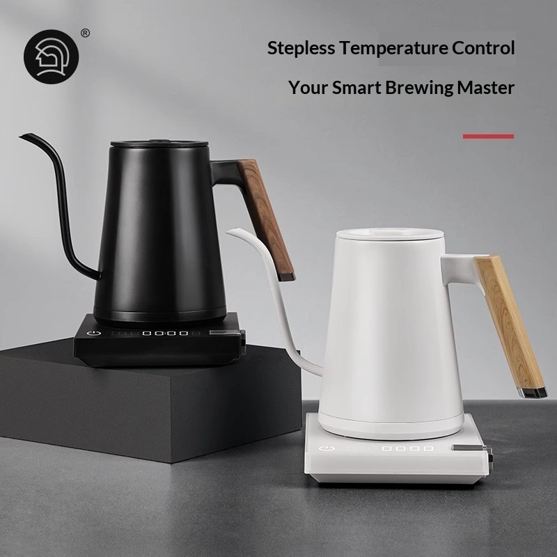 Electronic Kettle