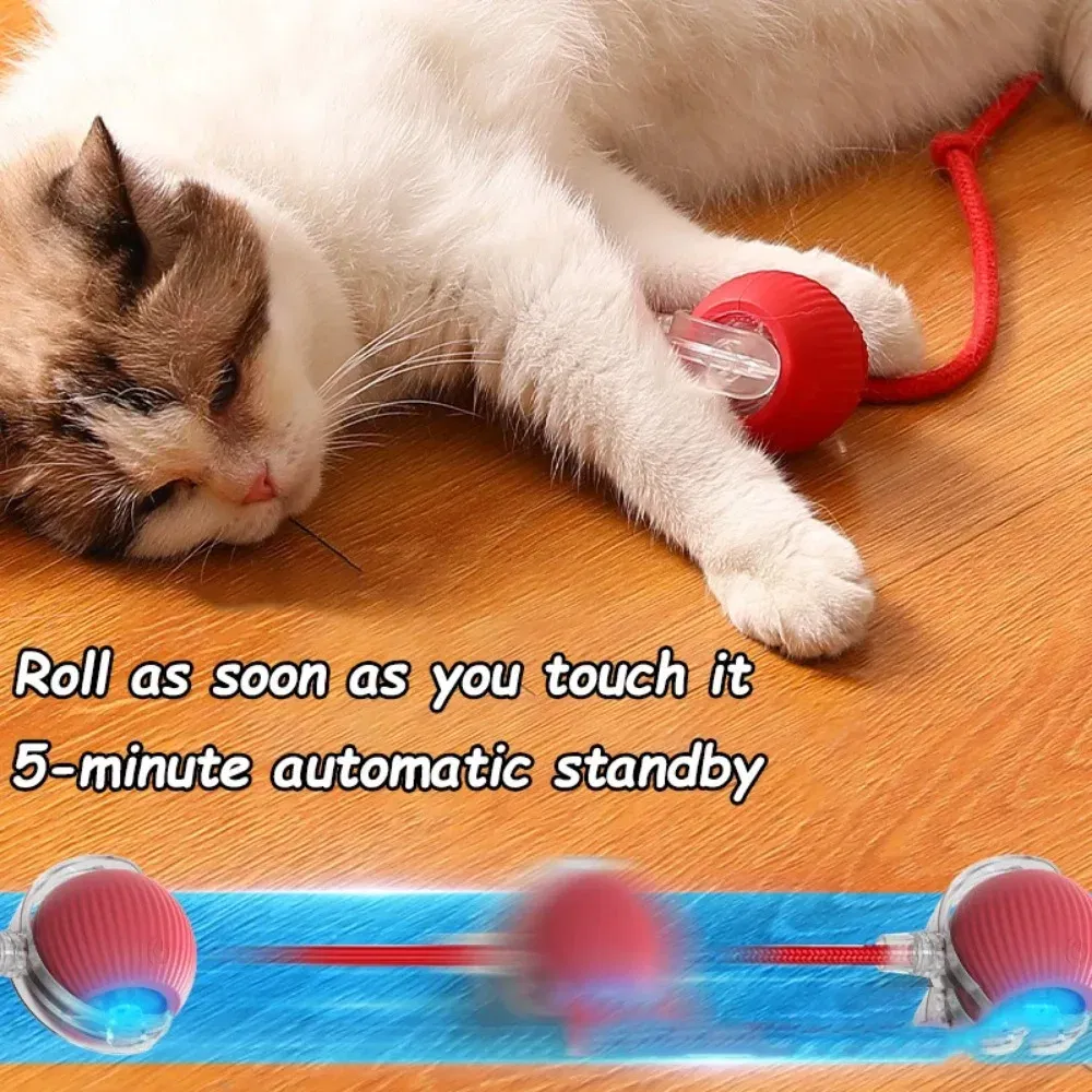 Color: RED COLOR - New Cat Interactive Ball Toy Automatic Rolling Ball Faux Tail Rechargeable Smart Pet Electric Toy Dog Cat Training Imitate Mouse