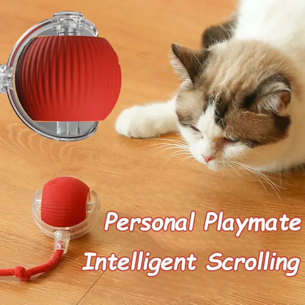 Color: RED COLOR - New Cat Interactive Ball Toy Automatic Rolling Ball Faux Tail Rechargeable Smart Pet Electric Toy Dog Cat Training Imitate Mouse
