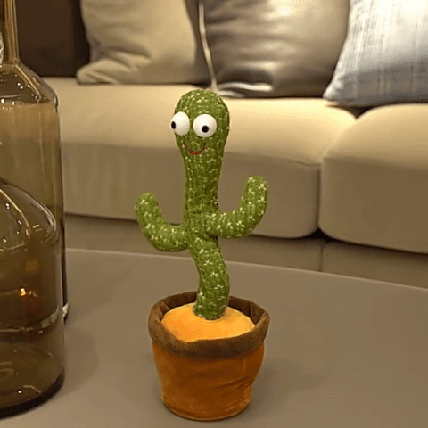 Cactus Toy Now & Get (50% Discount)