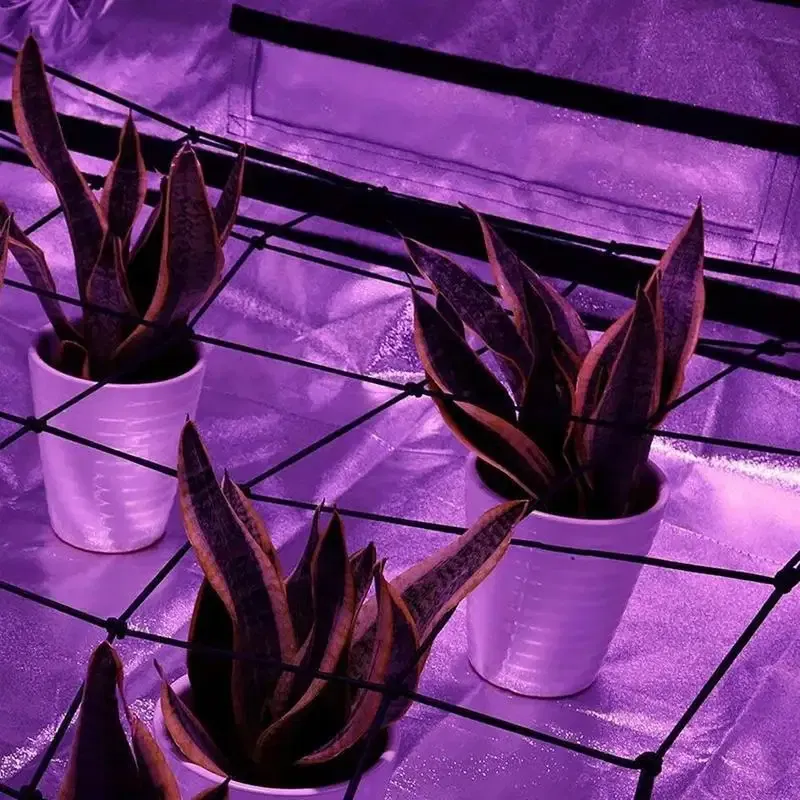 Color: WHITE, Ships From: CHINA - 40/50/60cm Garden Trellis Netting Heavy-Duty Garden Plant Support Net Cucumber Trellis Netting Climbing Plants Trellis